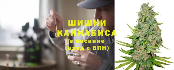 дживик Иннополис