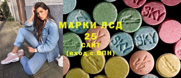 прущий лед Инсар
