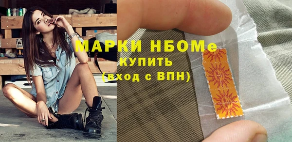 прущий лед Инсар
