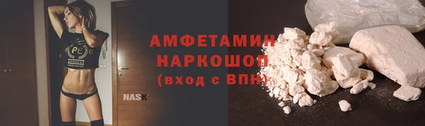 прущий лед Инсар