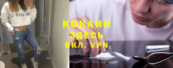 прущий лед Инсар