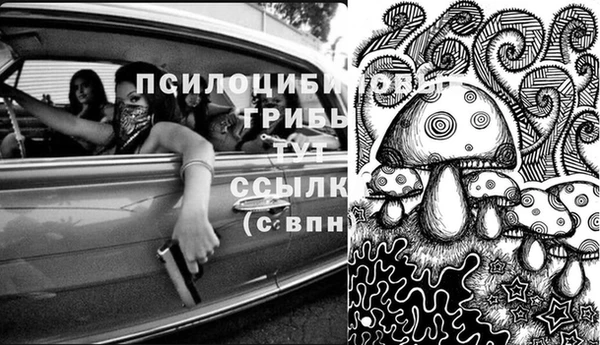 прущий лед Инсар