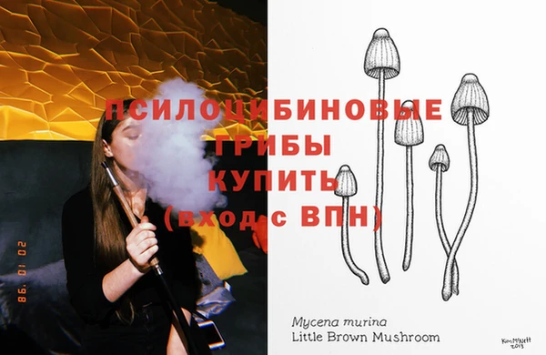 прущий лед Инсар