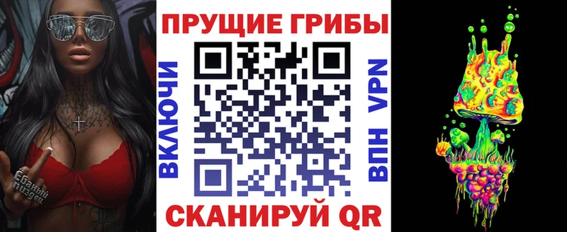 Купить  Ленинск  Галлюциногенные грибы Psilocybine cubensis 